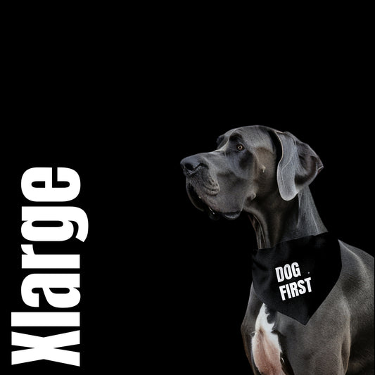 LIFE AT DOG PACE BANDANA | DOG FIRST | Xlarge
