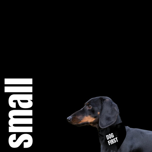 LIFE AT DOG PACE BANDANA | DOG FIRST | small